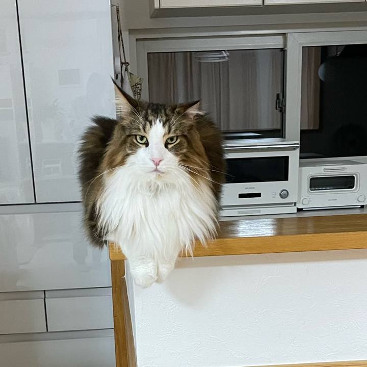 31a87fa4 5d4b 4d4e 8e8d 23a34fa8eb72 1700855474934