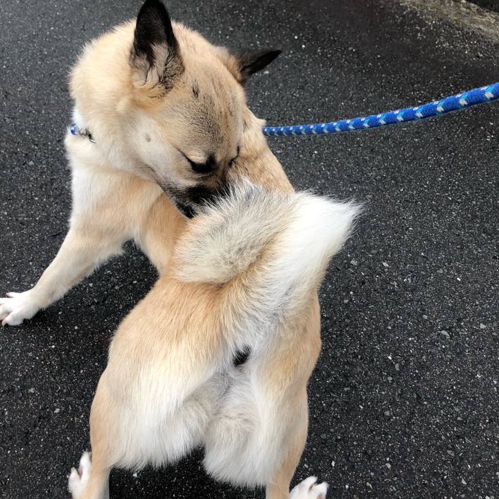 31a89f9e 5ca7 4359 b2a7 24d4a565eb93 1593778149126