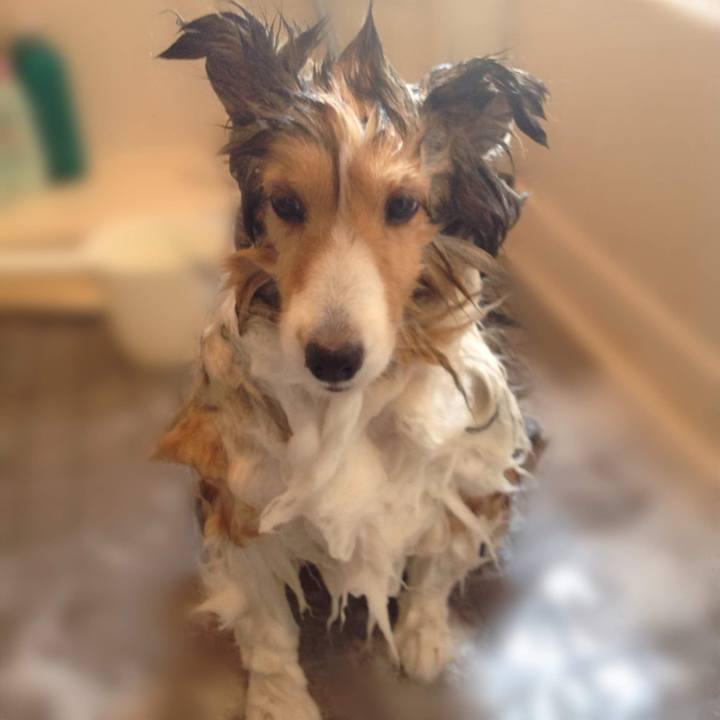 31a8c5d6 d0de 4307 b453 58b1722df8e6 1758852398513