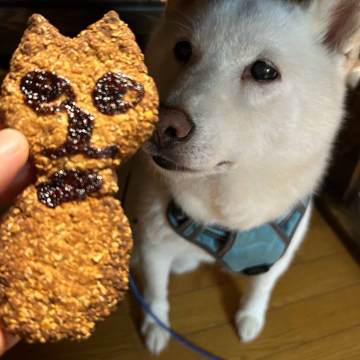 31a936b9 86fa 46de bacf 187876cda5c8 1757926678542