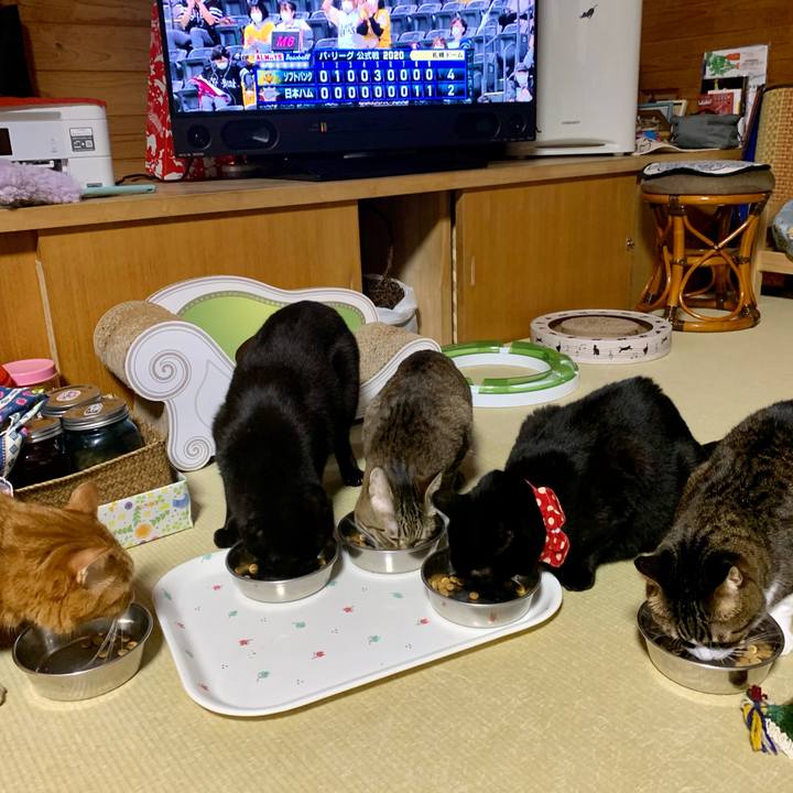 31a93d14 f460 41a2 b13d c203bec6f070 1603370204254