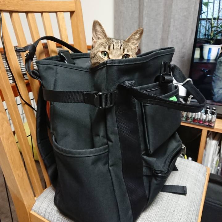 31a941f1 bff2 4962 837e f2d6d45b4c98 1537374362465