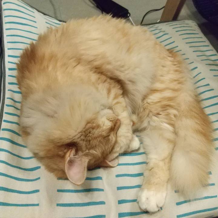 31a957b5 5d34 4f7e a9ba f78fcf57a9b5 1631101798723