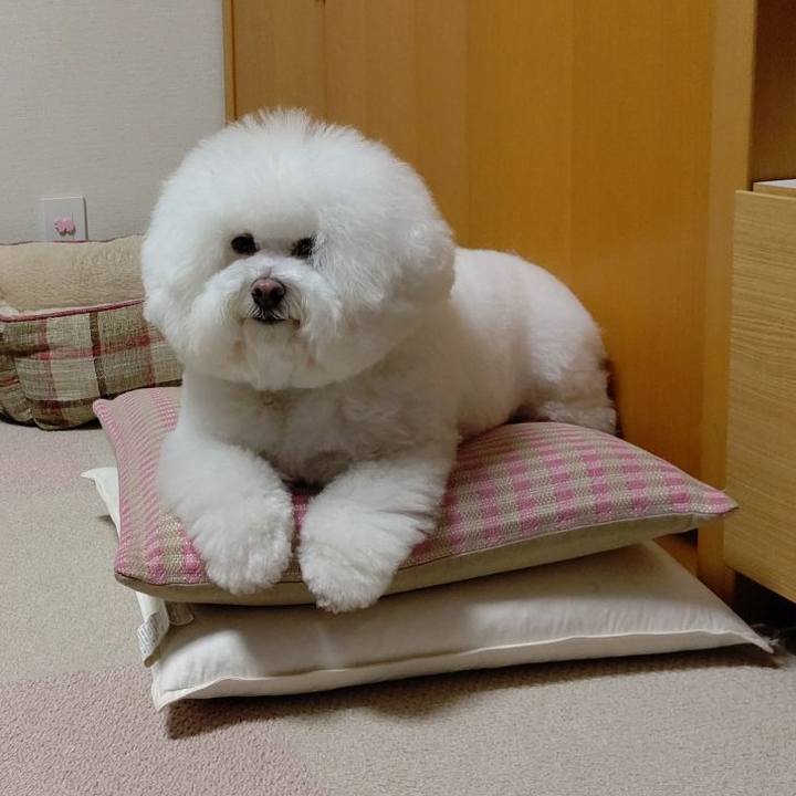 31a96e5e 1370 4ea4 804e 59bf2465f63f 1614232498045