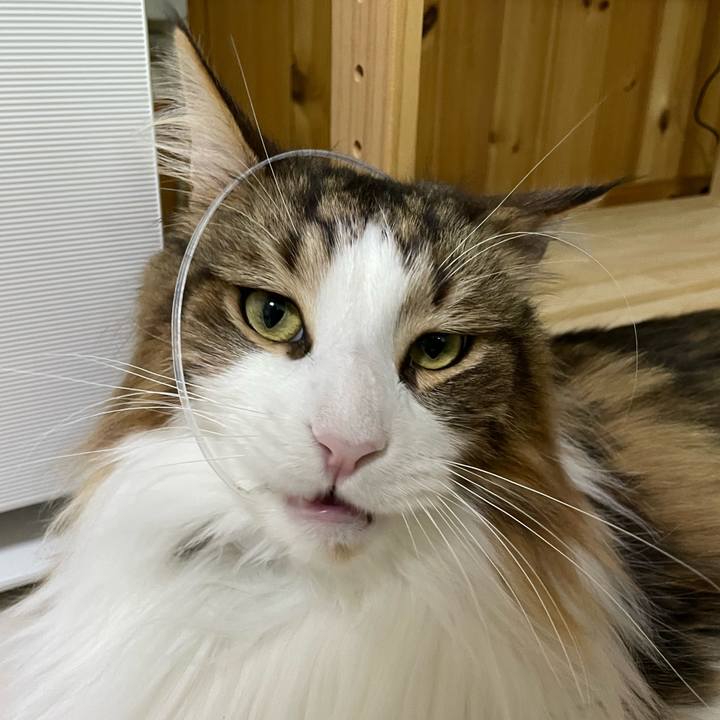 31a98e56 2ae2 4ddc aeb6 6f4fdd366bc2 1673299623763