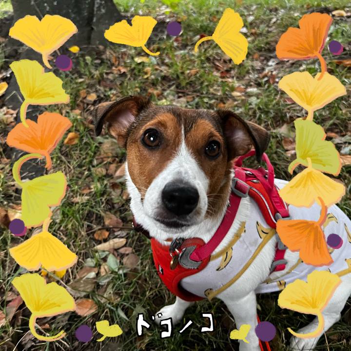 31a990cb 669c 44f4 802e c80941f9d9ea 1729827757918