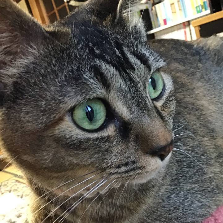 31a9b740 ec94 4eae 8600 0f233a8f74e8 1654162760932