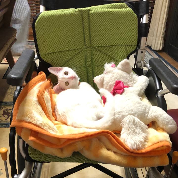 31a9cd97 726a 4e92 a4a8 a0fc16741fcf 1602845183974