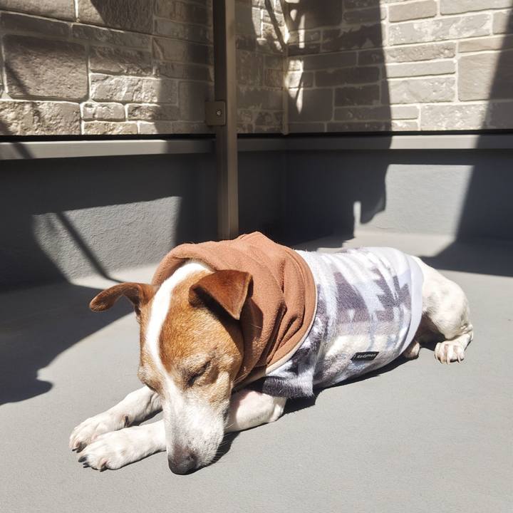 31a9d8c1 d925 4540 b2fa 8460b2794019 1773214175706