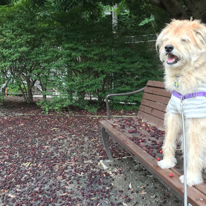 31a9dbd0 3a19 4ad9 8404 efc0beee18ca 1529564561500