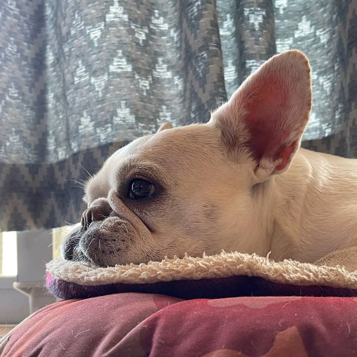 31a9ef2e 9abe 4e91 8497 2edf3c1cc510 1754092042631