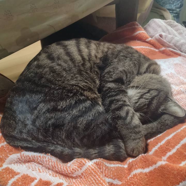 31a9f0ab 9eb1 44dd b738 f0d13fba86b7 1743141380876