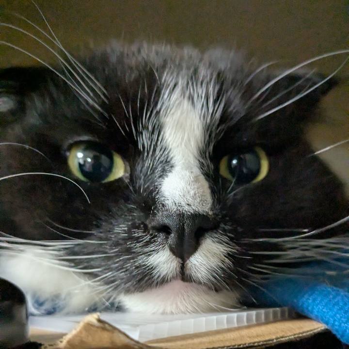 31a9fac2 976d 4b59 a10d b25c2a2ecc41 1747170452495