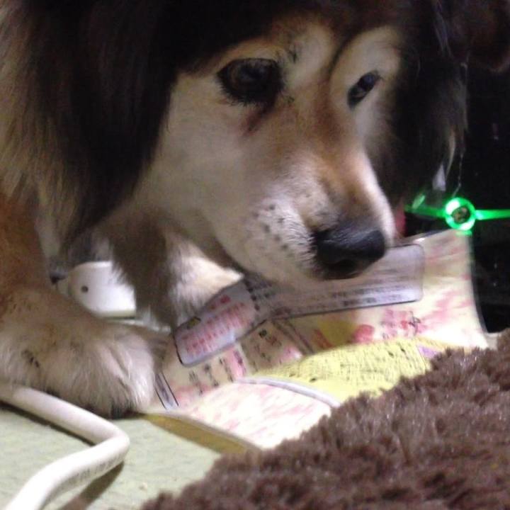 31aa06d5 f026 4d05 80ab a9ed84d19fb5 1610431966353