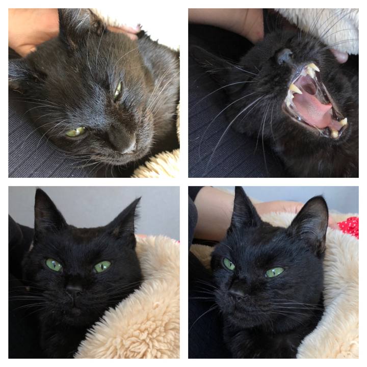 31aa334d 65ec 4c32 97bd 473bc034d744 1554610074525