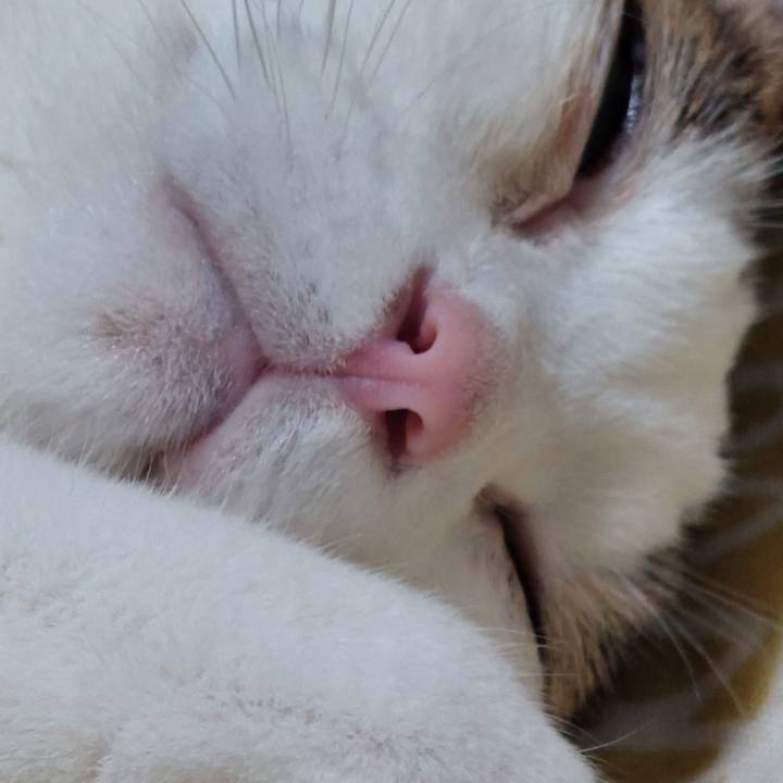 31aa3c57 50e4 415c 9a11 4a59dcb36bd0 1754222914380