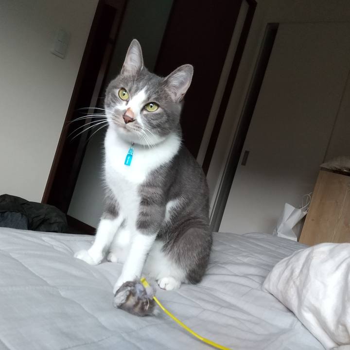 31aa56ed f835 40dd a0af 83477a35f3ee 1600553830315