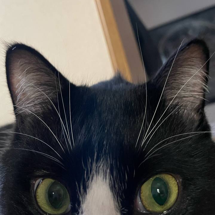 31aa6049 39df 4ea2 a580 b62d814ca249 1664848558281