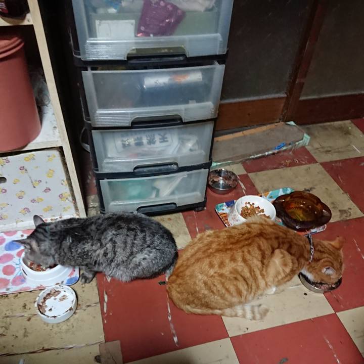 31aa73bb 6fce 485e abd0 a830ed7bc235 1575454207477