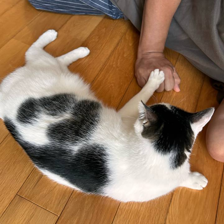 31aac5ba 0c17 4604 ac84 f5715da0fd70 1757888443330