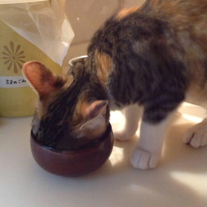 31aaca43 5b03 42cc 9bd2 0a686d7b32dd 1629458550436