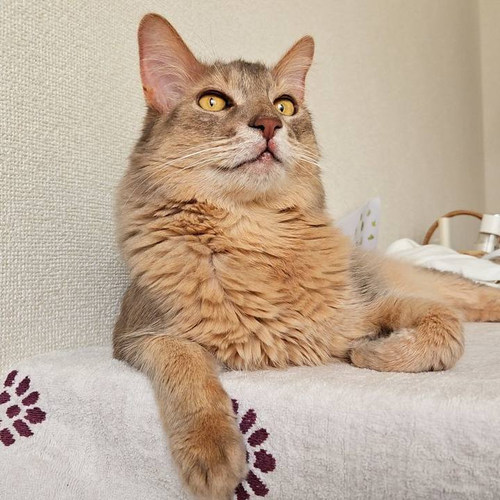 31aae99b aa3f 4a69 ae11 70d0b1cb5a27 1718598980318