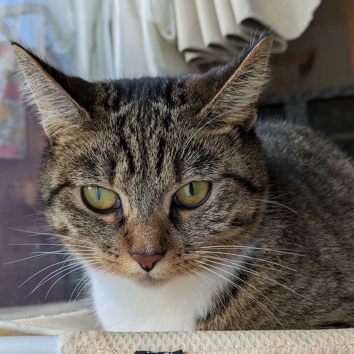 31ab427e 1b4b 47cd 8973 f7813c11d843 1700038370065