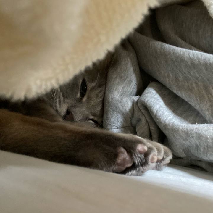 31ab5e5e c9ef 4714 825c ef508735ad52 1610763181428