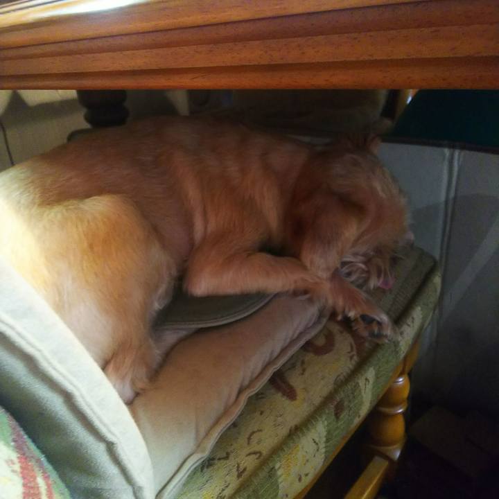 31ab878a 1131 4808 bda7 6e98cfa31020 1596074291921