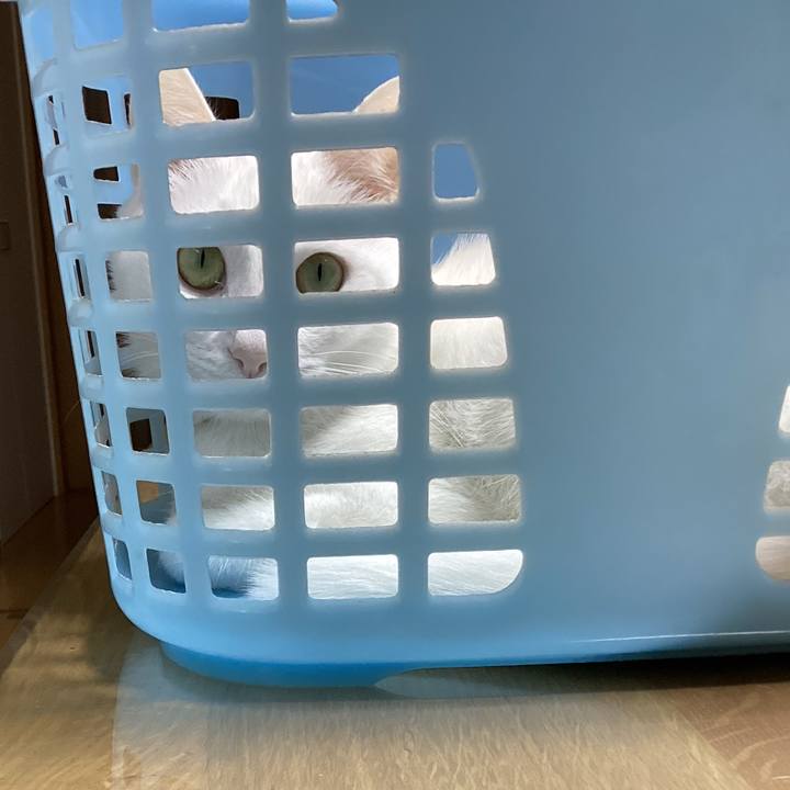 31ab8af4 32e1 4cae a7cc ea6f224376ae 1668037907361