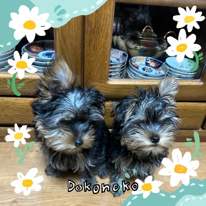 31ab9a54 0496 4ceb 8342 3a360b039834 1712641284397