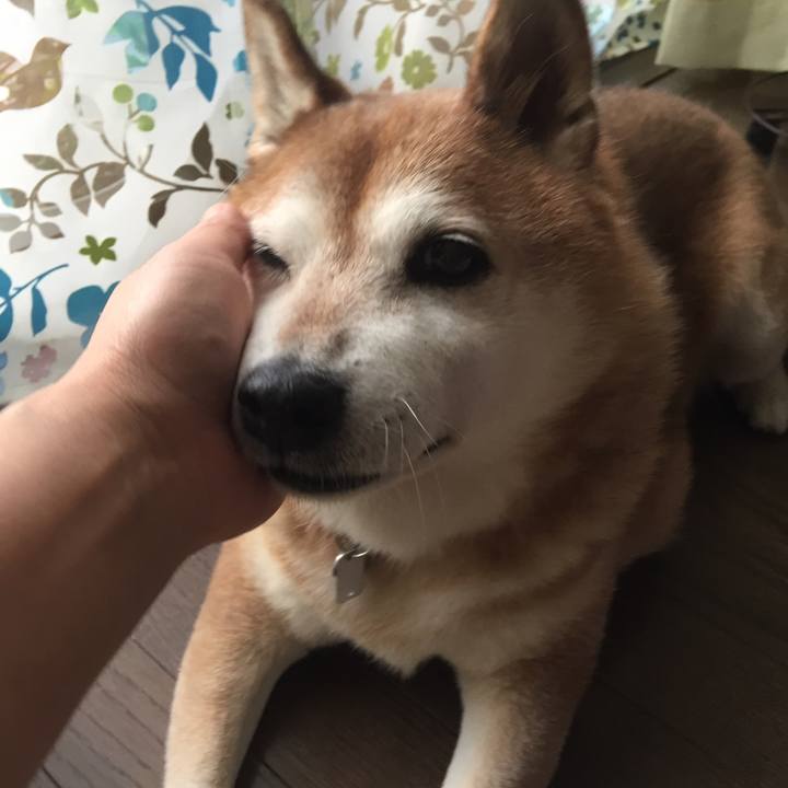 31abc050 31a4 4ab8 b172 2edc057be955 1537618728578