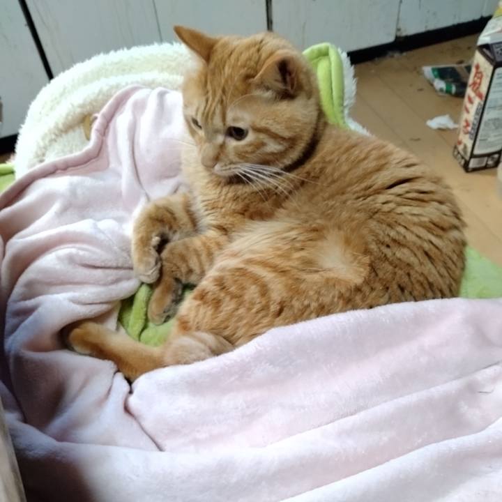 31abf0a1 9a2d 4c30 8b42 4c3a0103e588 1676939340824