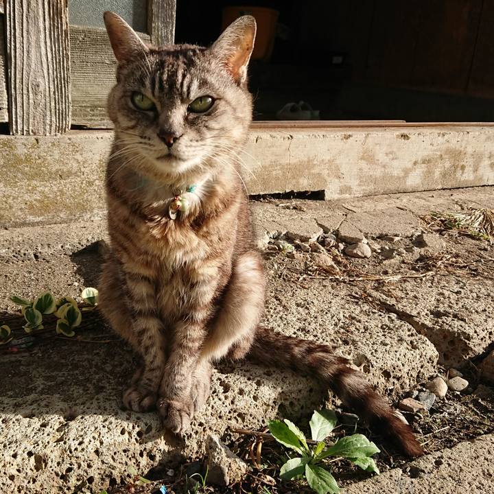 31ac276d 067a 47bb 8502 3371164d20d5 1569190482718