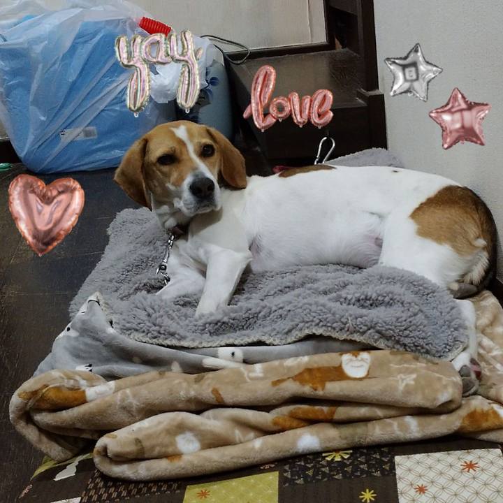 31ac46c6 ba12 44ce b471 83df178071b7 1584619403480