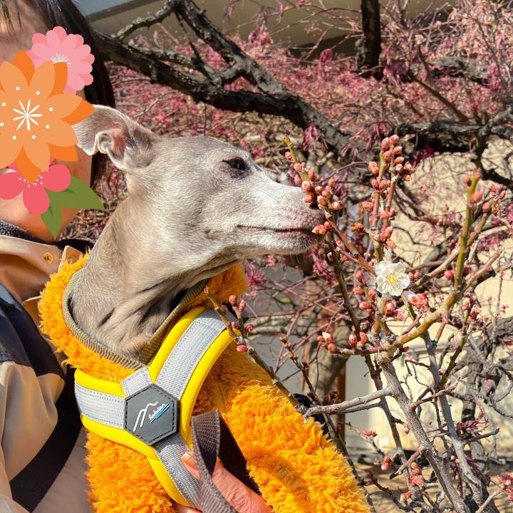 31ac6789 4746 4d0a bcb7 807a7218fae6 1768724944504