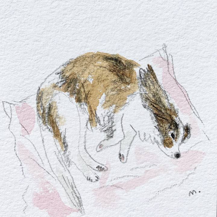 31acbdb3 397e 44c1 8edf f8e5a9464faf 1584488951869