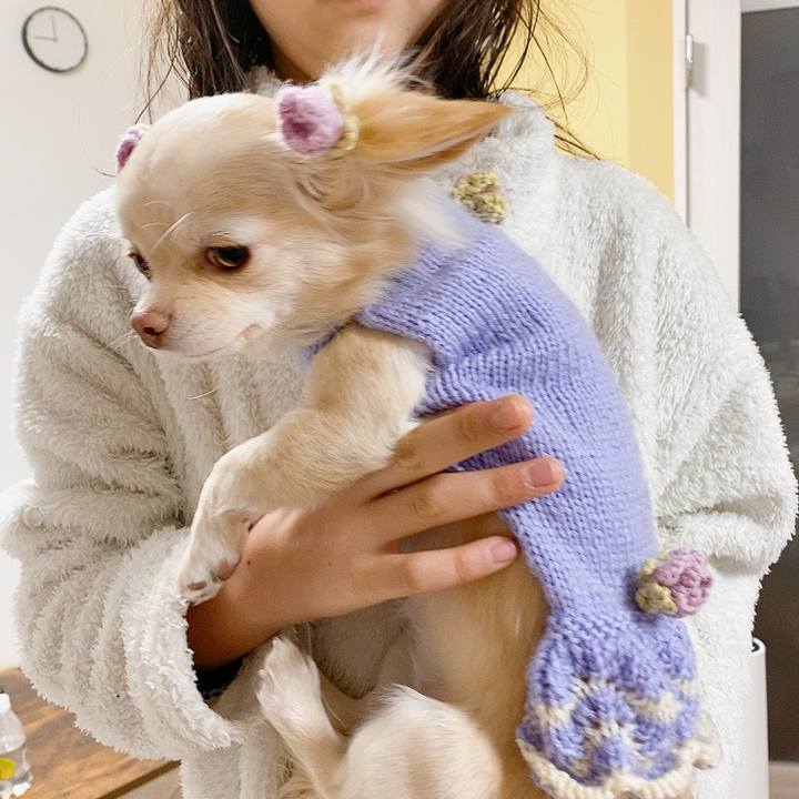 31acca4b 6abb 4ab9 a35e 8c4220cb1c05 1610769811223