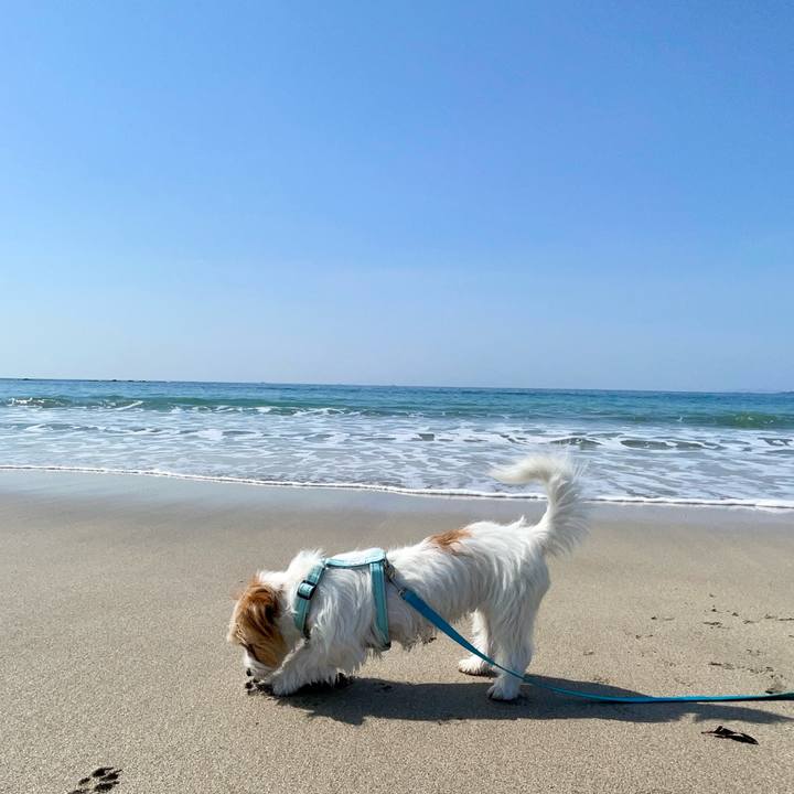 31acfab2 c745 4160 a130 ebe67802c3d5 1774153943409