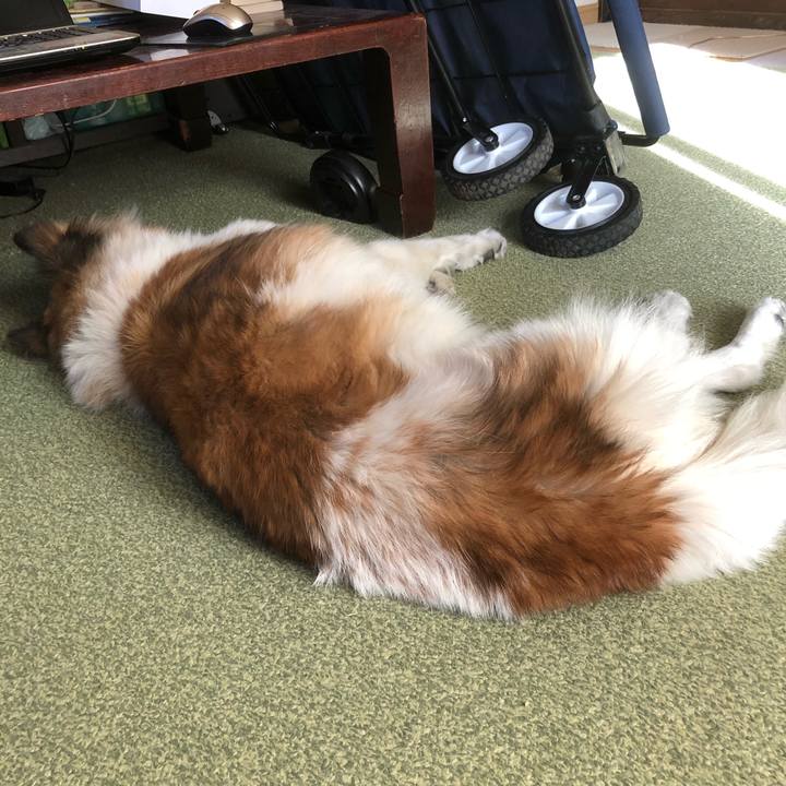 31ad9ab2 eec0 4157 ae6f 95961b19aa43 1544760132283