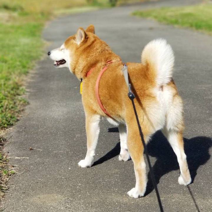 31ada51e 9d86 4dd6 b59f 622870a0fb53 1540115302867