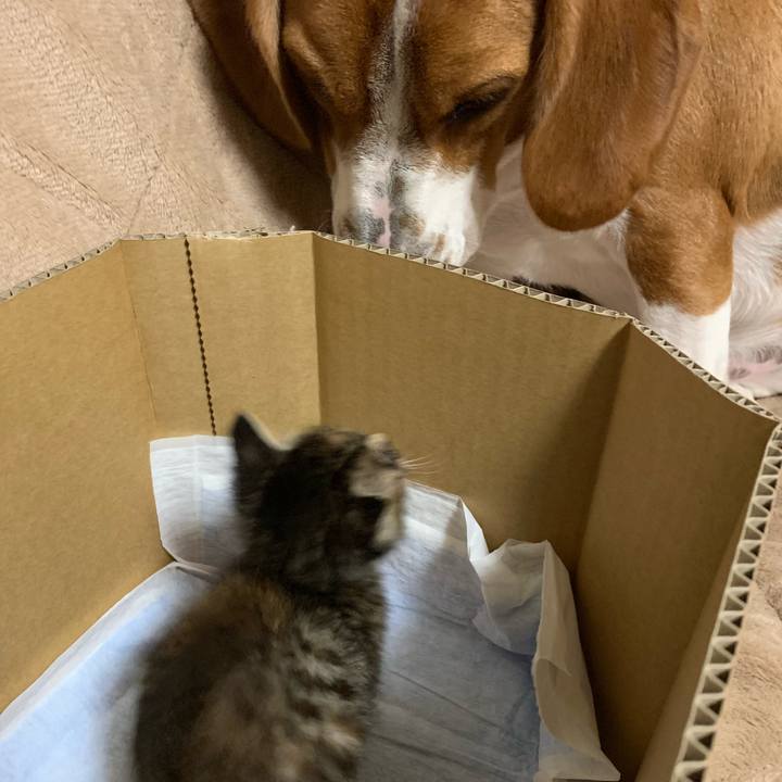 31adb43d 6356 4636 af38 ff45c55f4c9c 1556627285654