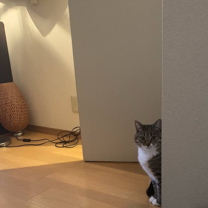 31add3f1 5b03 4c38 b674 aff36ded261f 1574909577237