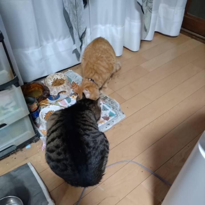 31add622 e272 401e 9d0f fef9c2b52c3a 1672899058065