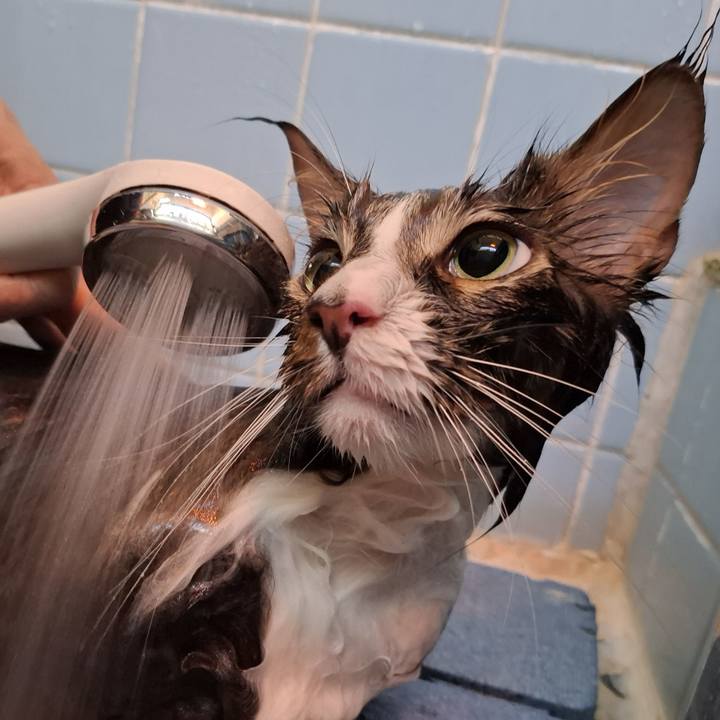 31add89e 07f6 4491 b63d 6d3137a02baf 1764667026679