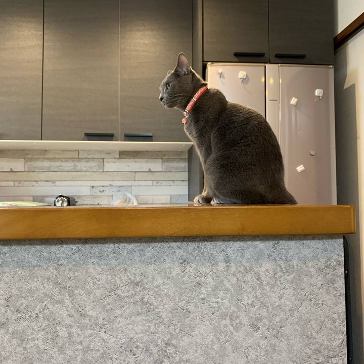 31addb5a 410c 42a4 a4a6 21847d602198 1596713739391