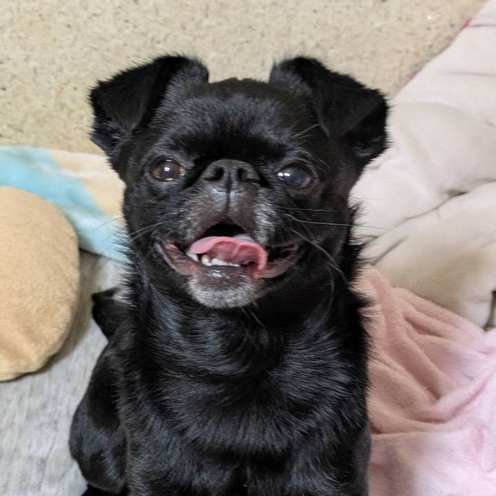 31addb62 859b 4a0f aa93 b6cd39453e66 1766407848535