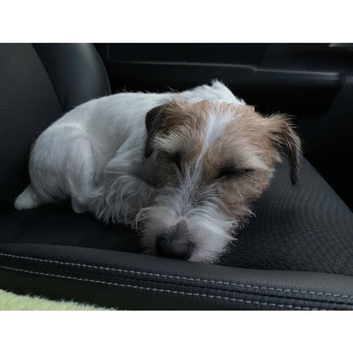 31adebee c4cc 4698 a5dd 1fad78a75205 1600257648718