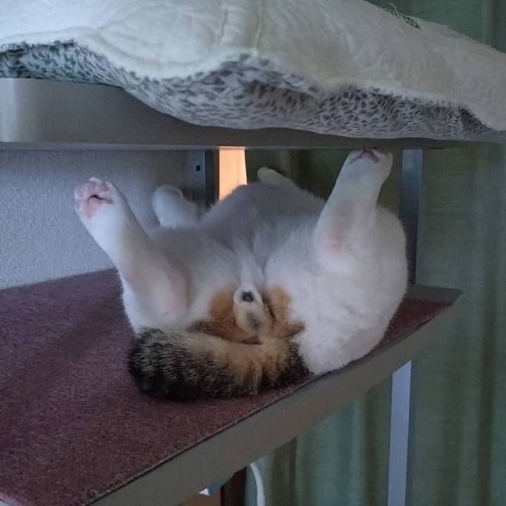 31ae2167 6dbf 46cc bd58 871313002d63 1753967037705