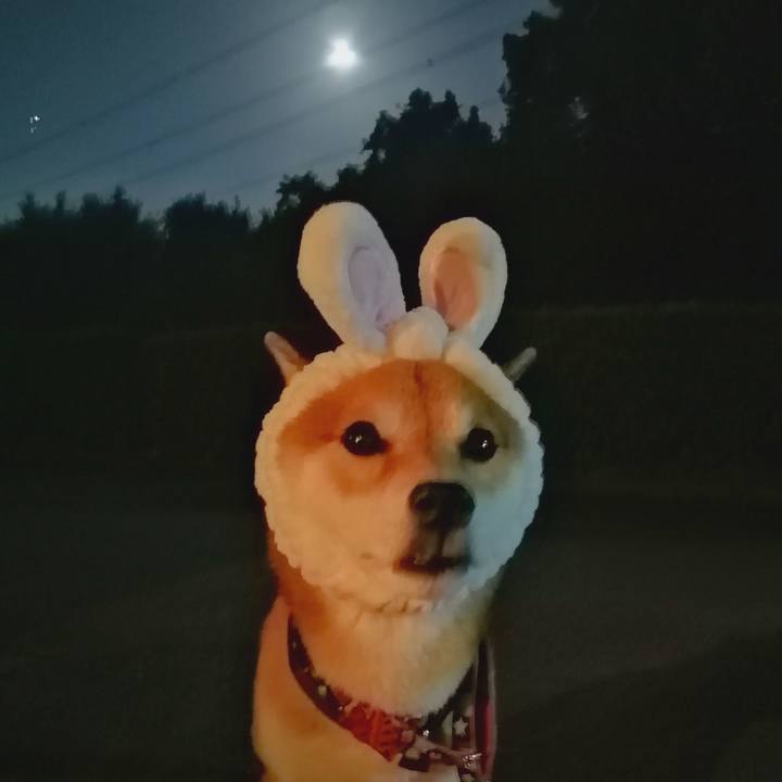 31ae24f5 9578 4f41 8123 664607bf89c6 1662808059973